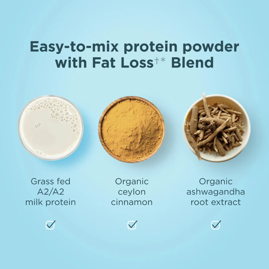 Whey Protein + Fat Loss Blend - Cinnamon Vanilla - Image 4