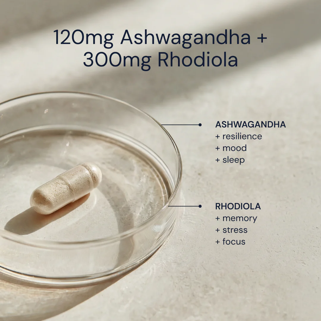 Ashwagandha + Rhodiola - Image 4