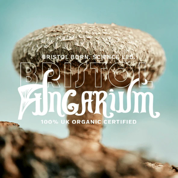 Organic Shiitake Tincture - Image 4