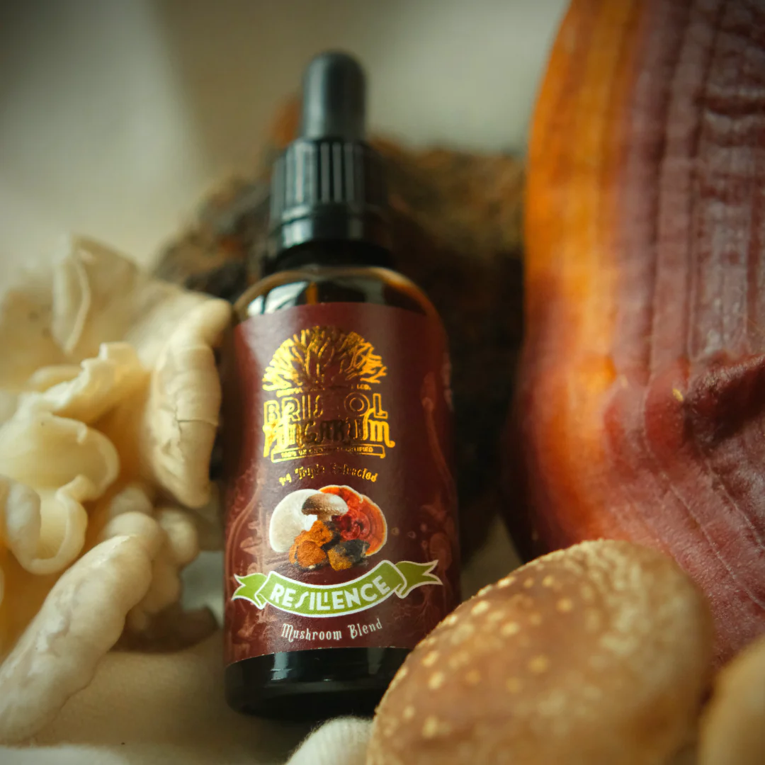 Resilience Blend Organic Mushroom Tincture - Image 4