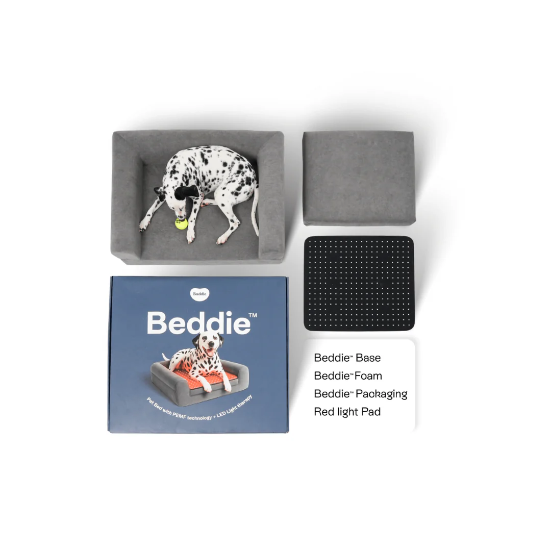 Beddie Pet Therapy Bed - Image 2