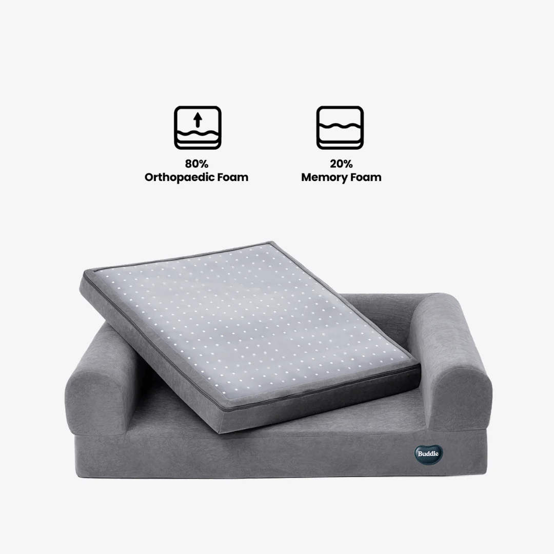 Beddie Pet Therapy Bed - Image 3