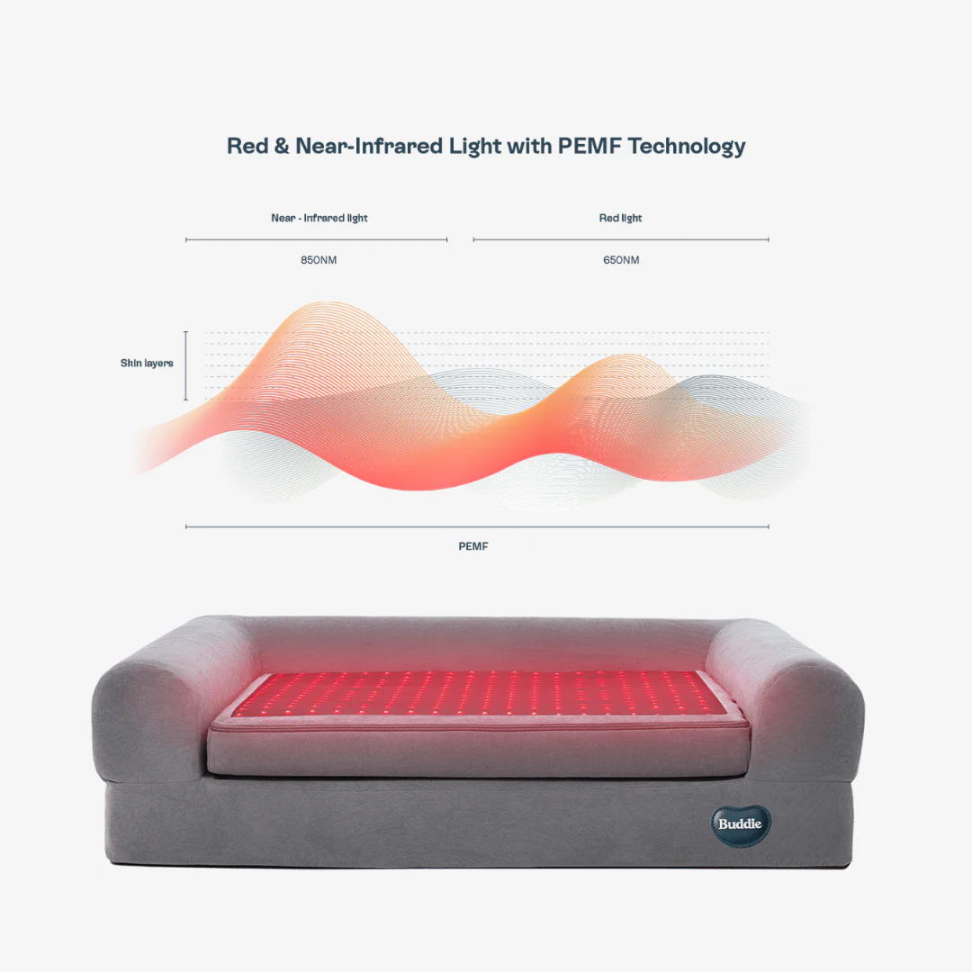 Beddie Pet Therapy Bed - Image 4