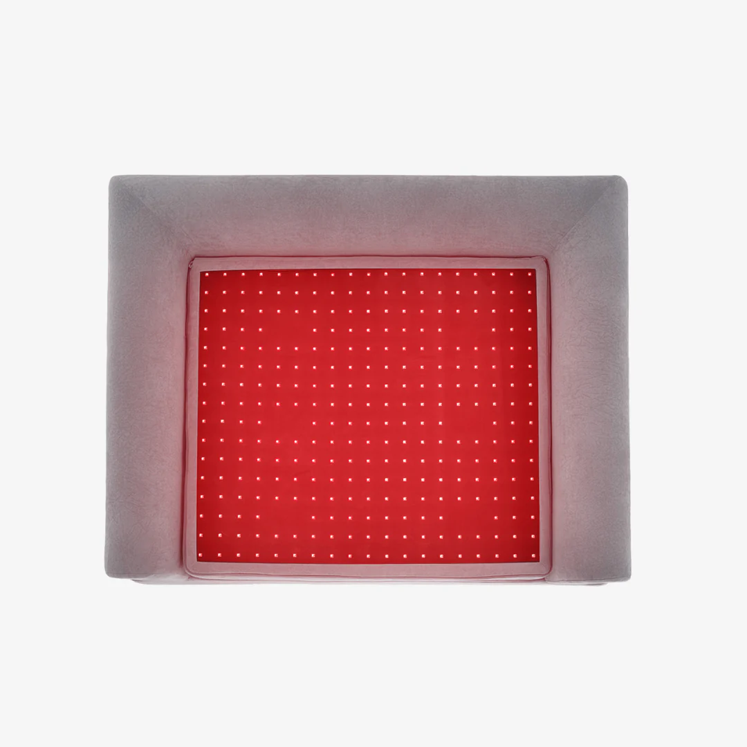 Beddie Pet Therapy Bed - Image 5