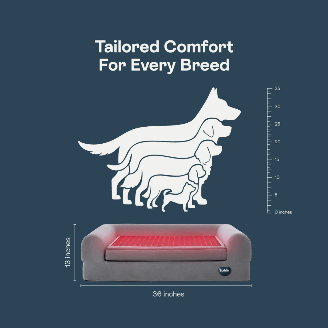 Beddie Pet Therapy Bed - Image 7