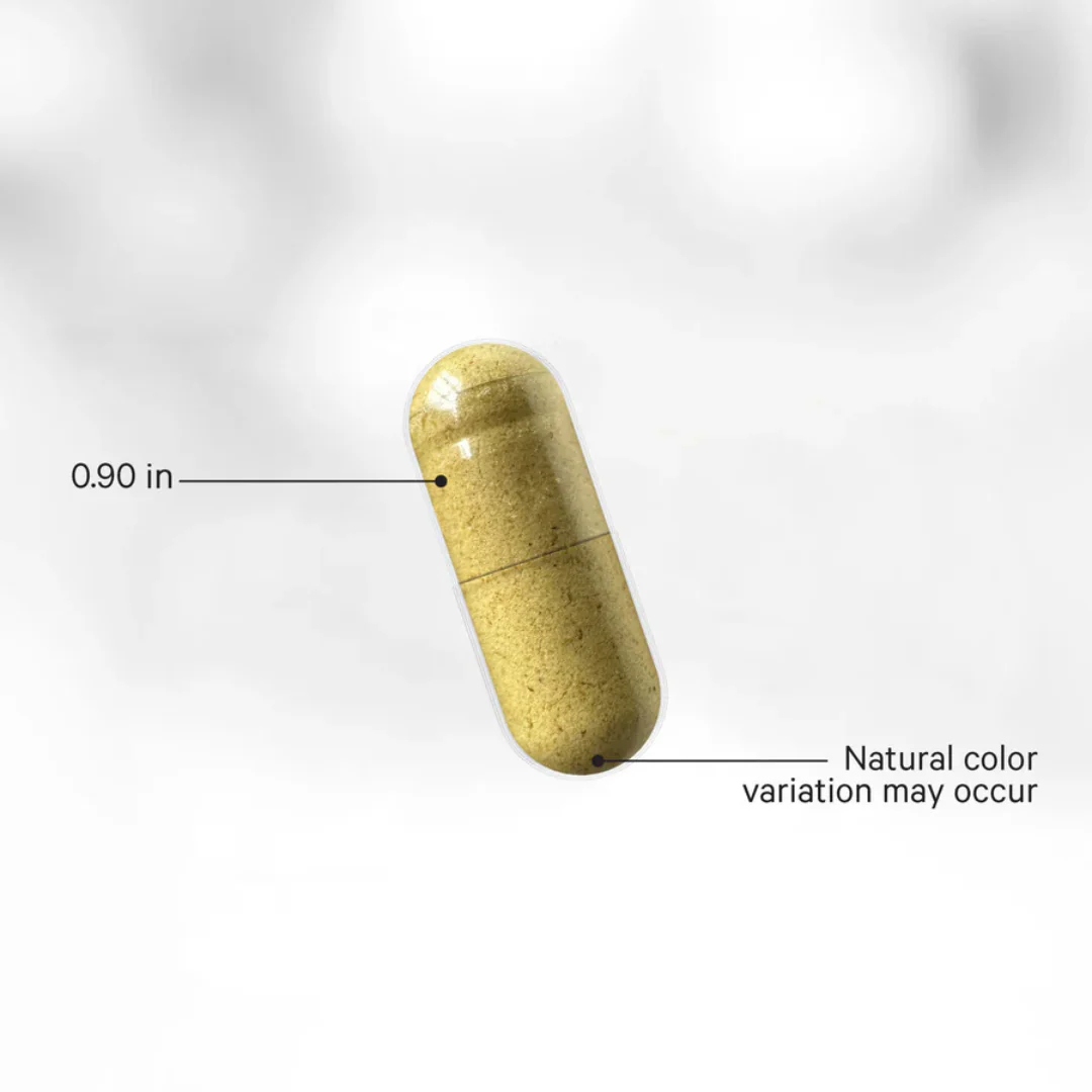 Fermented Digestive Enzymes - Image 3
