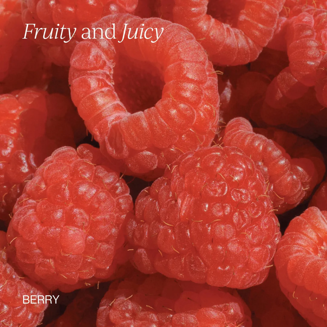 Liposomal Vitamin B12 + B6 - Berry - Image 3