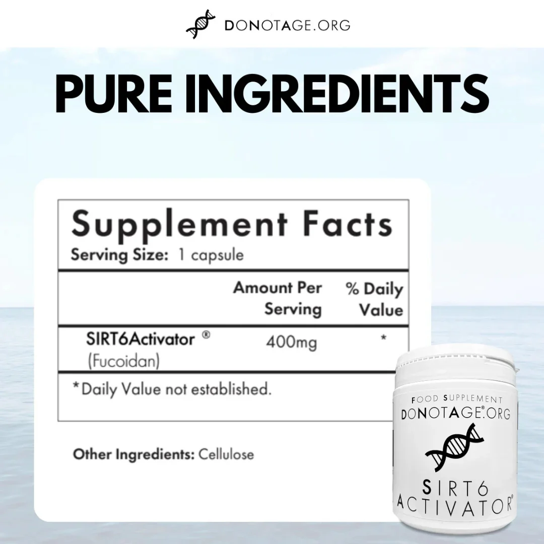 SIRT6Activator® - Image 3