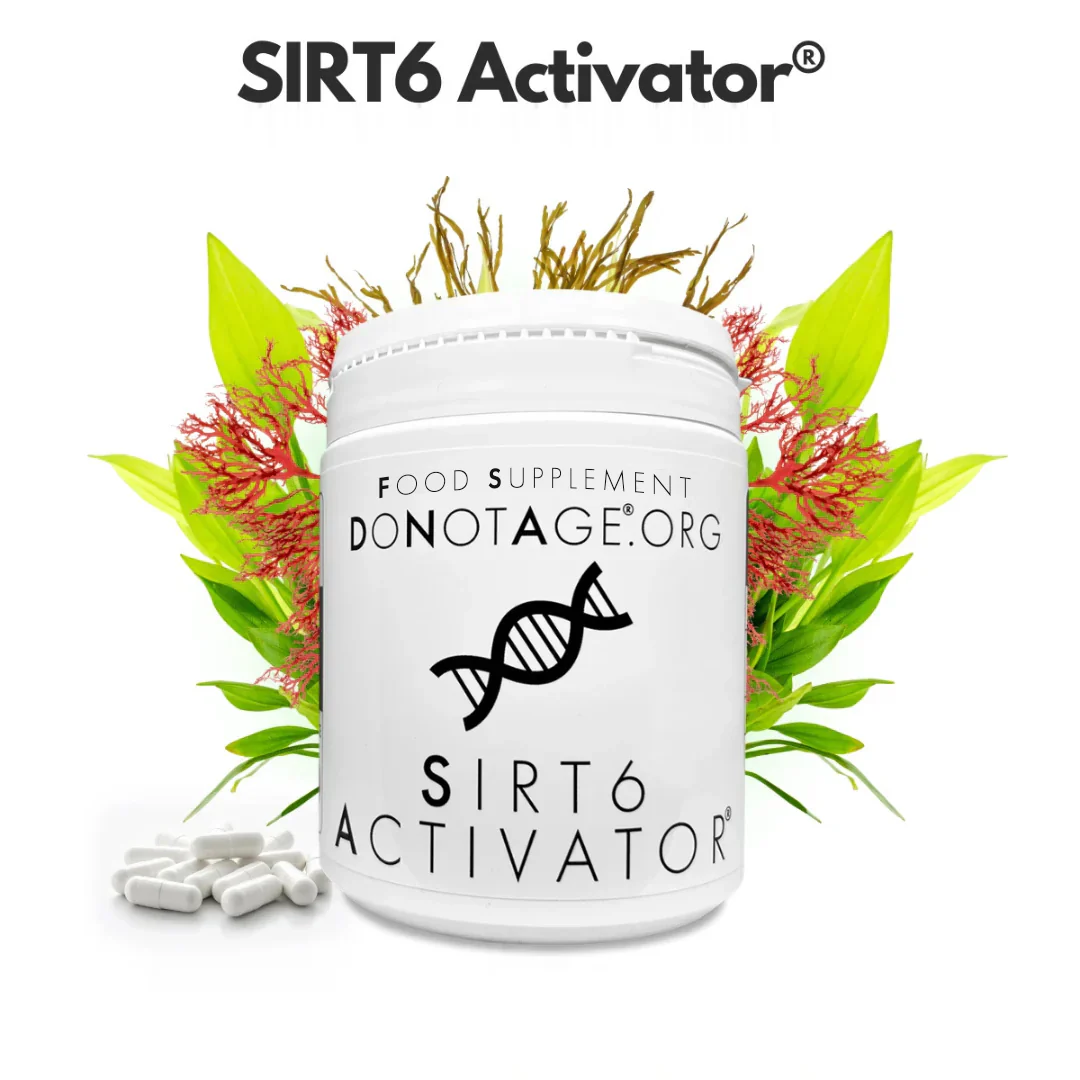 SIRT6Activator® - Image 4