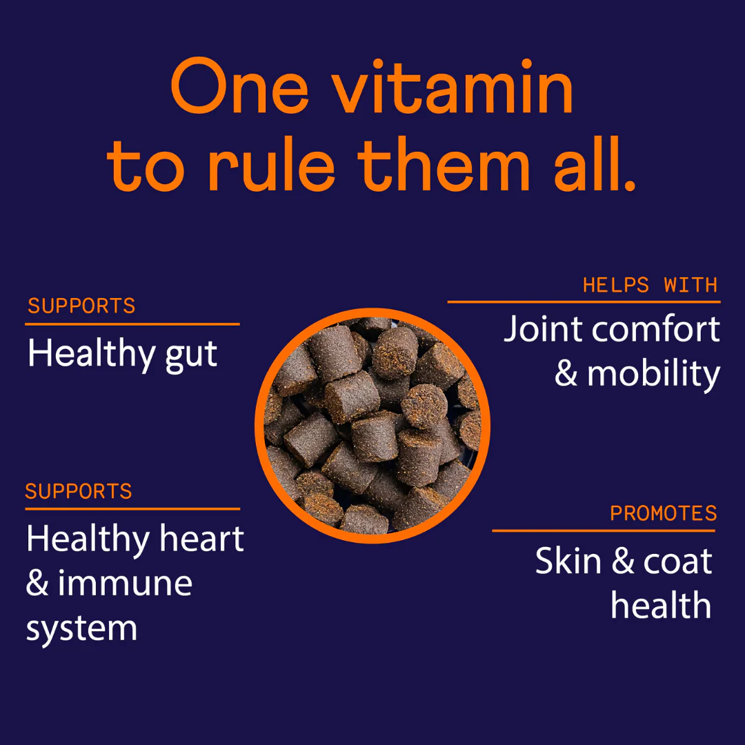 Multivitamin Soft Chew Supplement - Beef Liver Flavour - Image 4