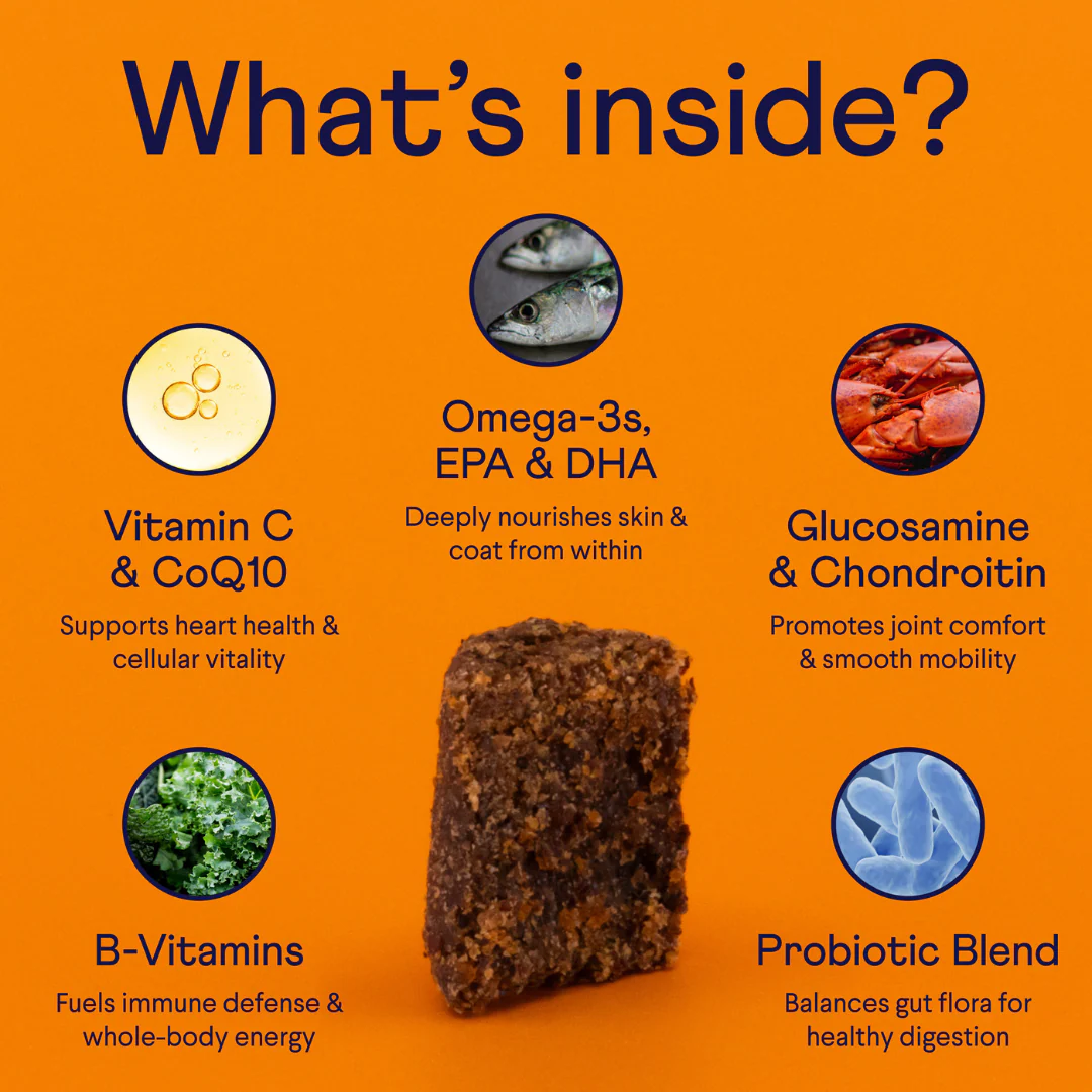 Multivitamin Soft Chew Supplement - Beef Liver Flavour - Image 5