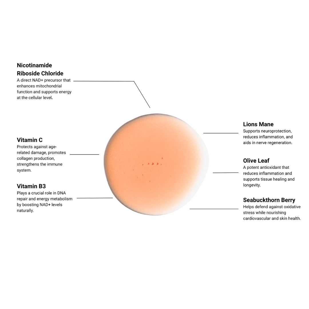 Marathon Not A Sprint | Energy Metabolism Support - Image 3