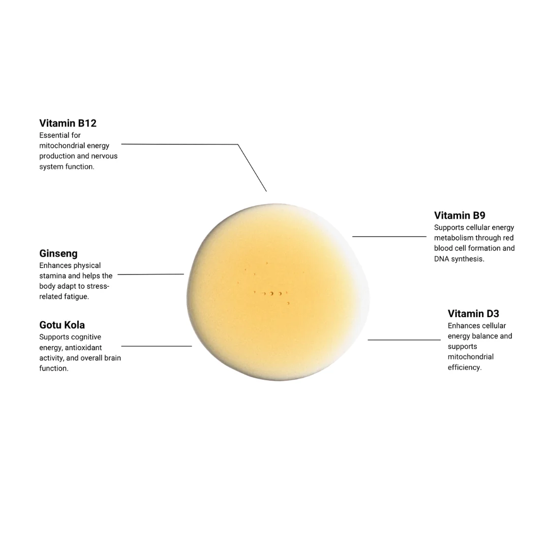 Wake Up Call | Energy & Fatigue Support - Image 3