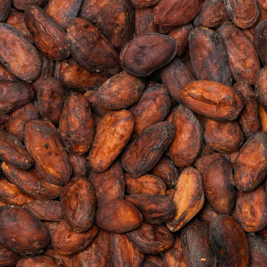 85% Dark Chocolate - Cooperativa Quinacho, Peru - Image 4