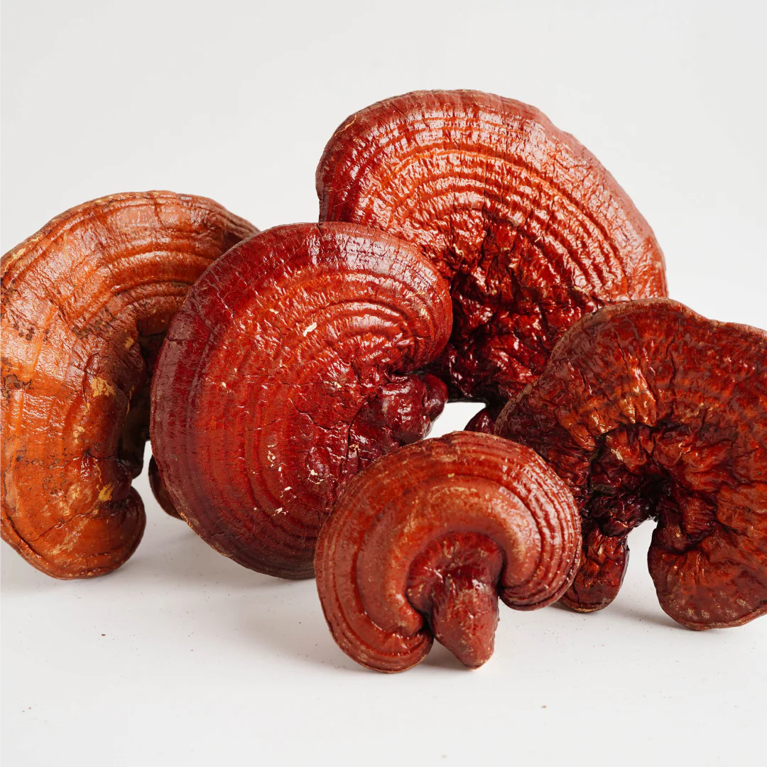 Mindfulness Functional Chocolate Bar - Daily Dose for Calm & Clarity with Reishi & Ashwagandha - Image 7