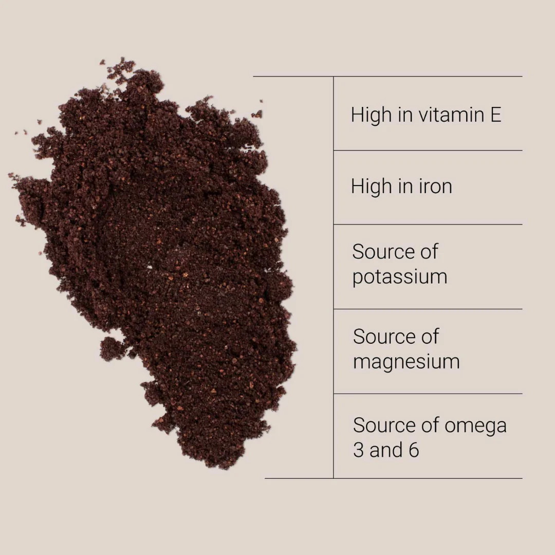 Organic Acai Powder - Image 2