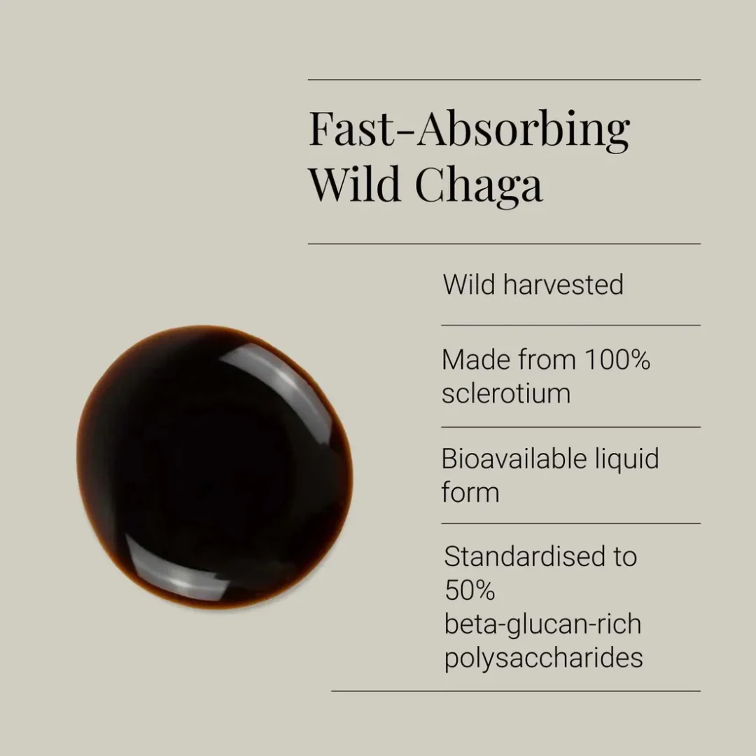 Chaga Extract Tincture, Organic - Image 2