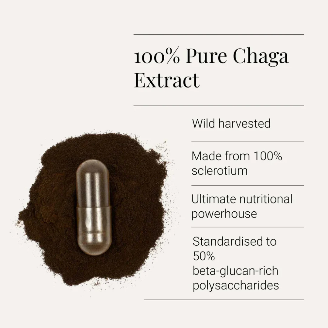 Organic Chaga Mushroom Extract - Image 2