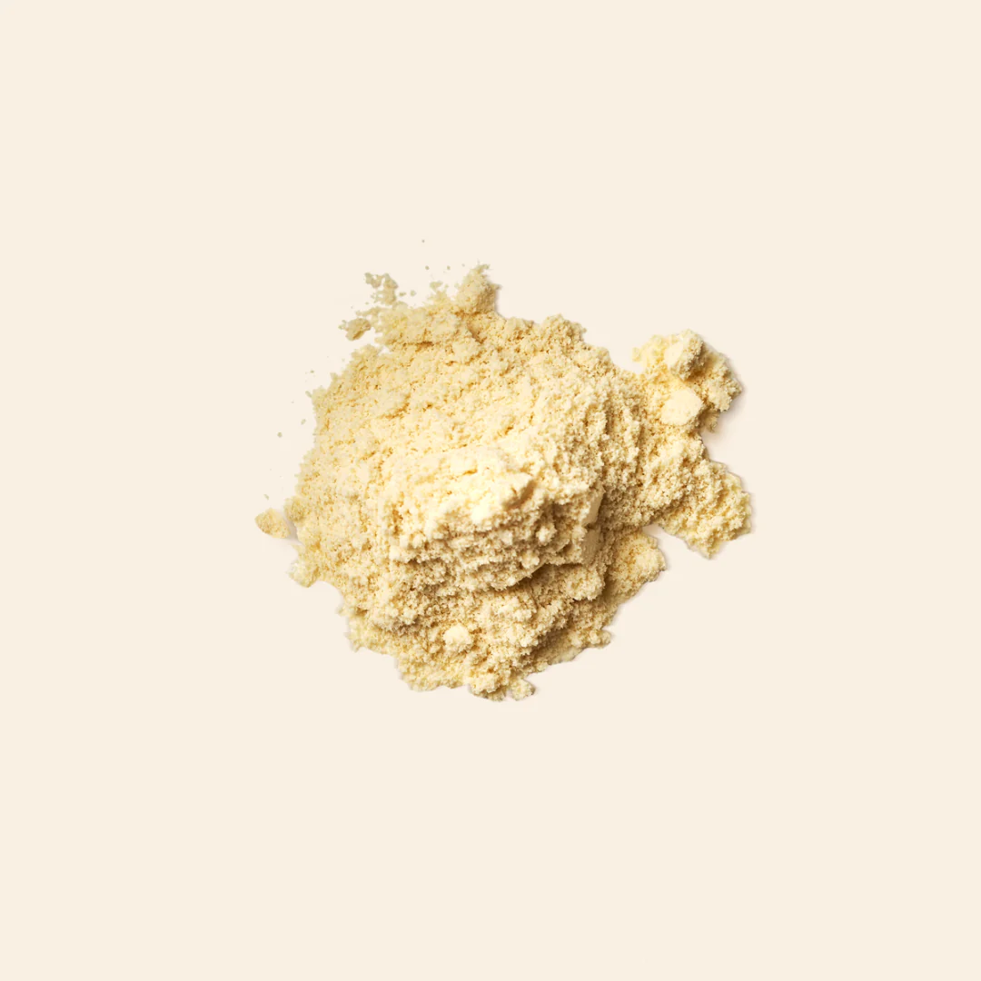 Vegan Protein Powder - French Vanilla - Image 3