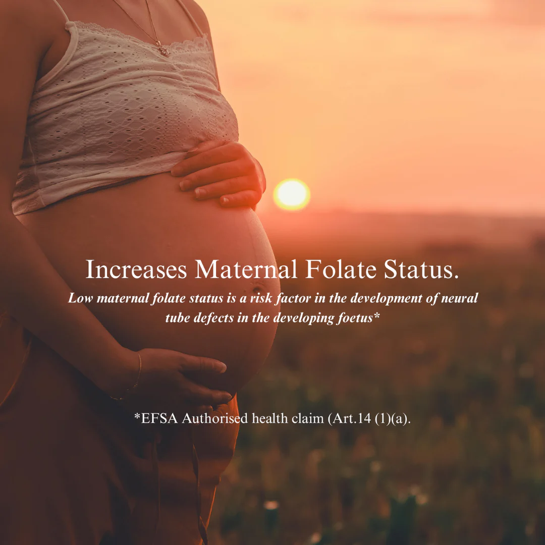 5-MTHF Methylfolate Folic Acid Drops - Image 4