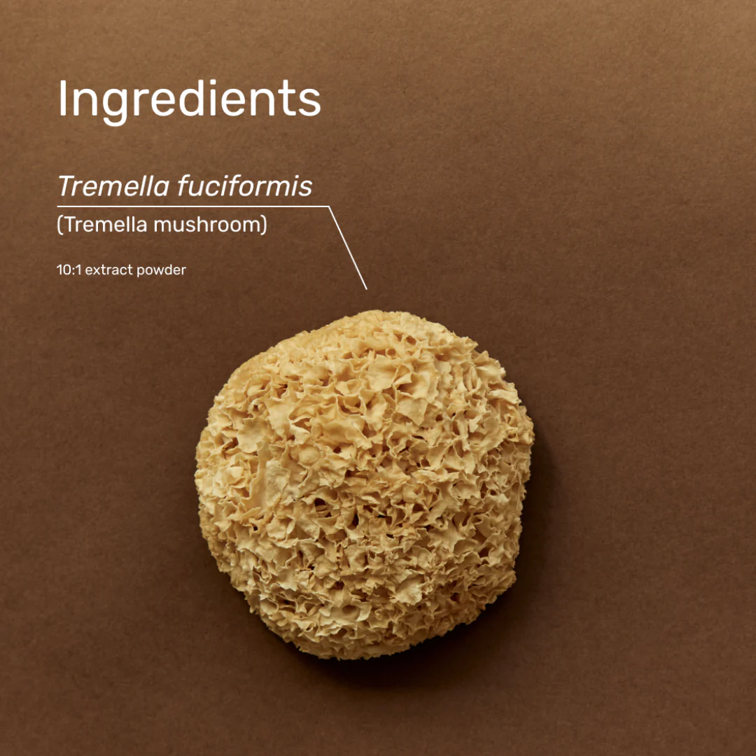 Tremella Mushroom - Image 3