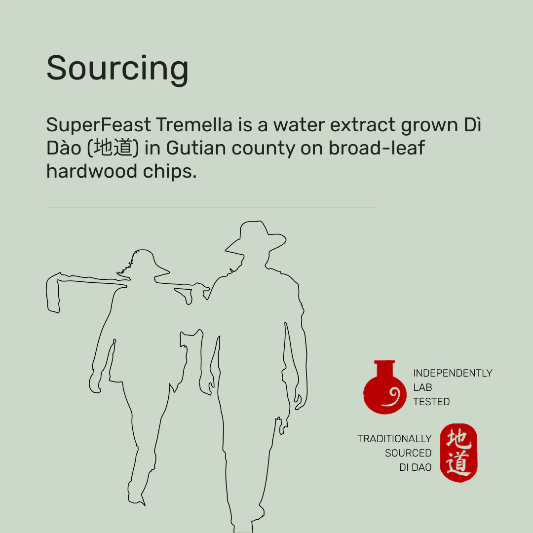 Tremella Mushroom - Image 4