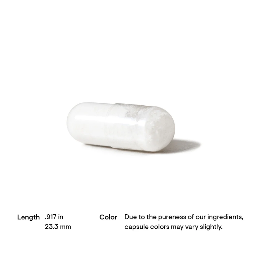 Acetyl-L-Carnitine - Image 2