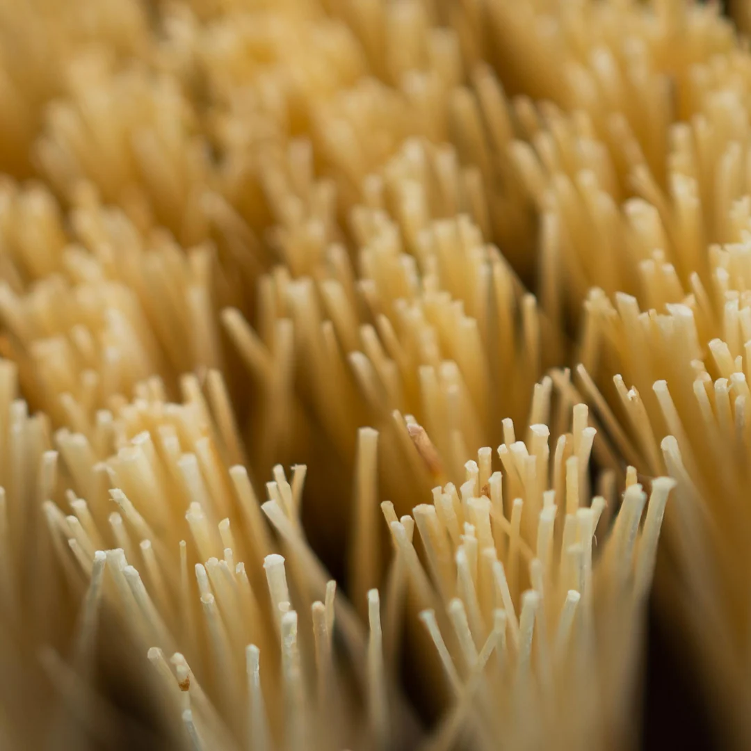 Ayurvedic Body Brush - Image 3