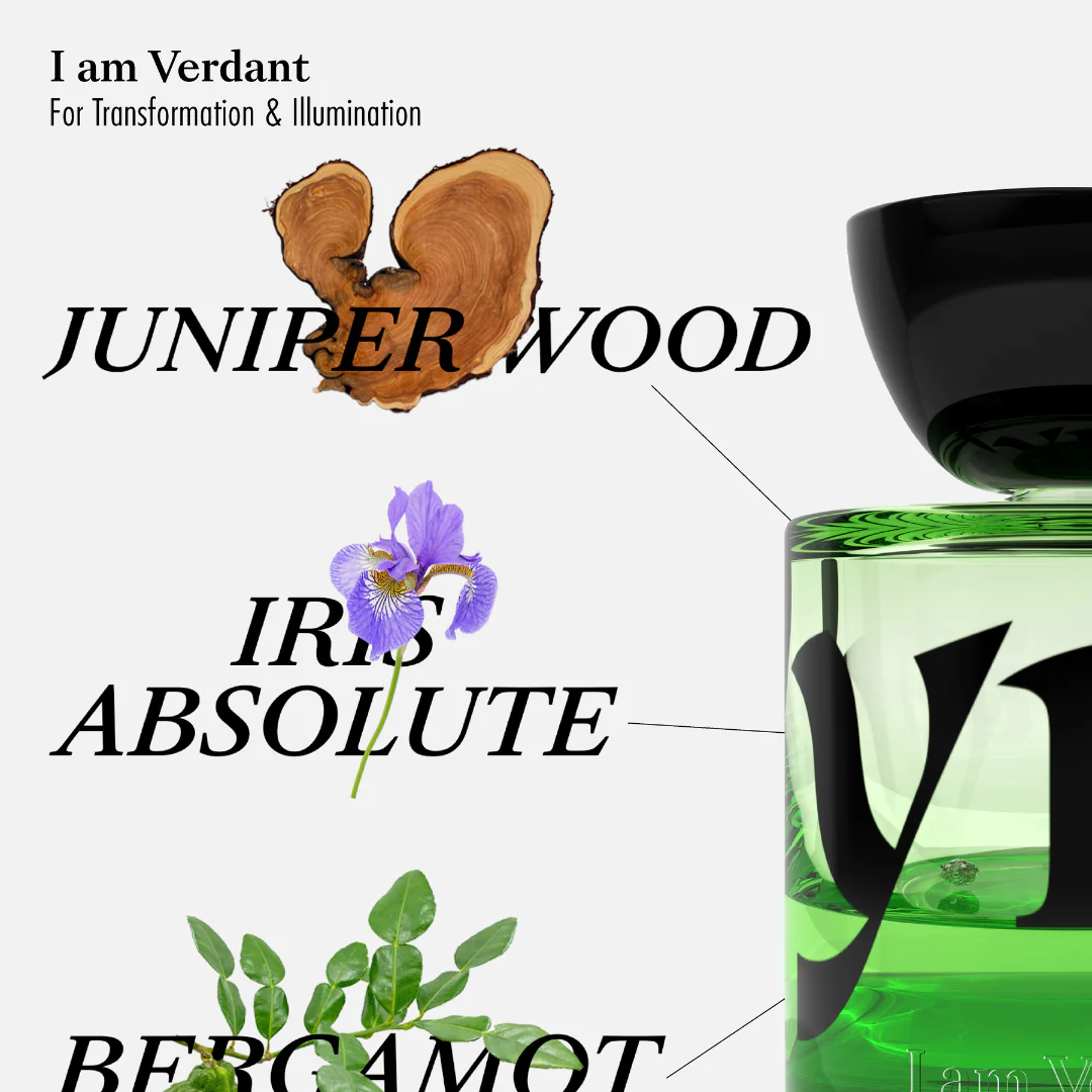 I am Verdant EDP for Transformation & Renewal - Image 2