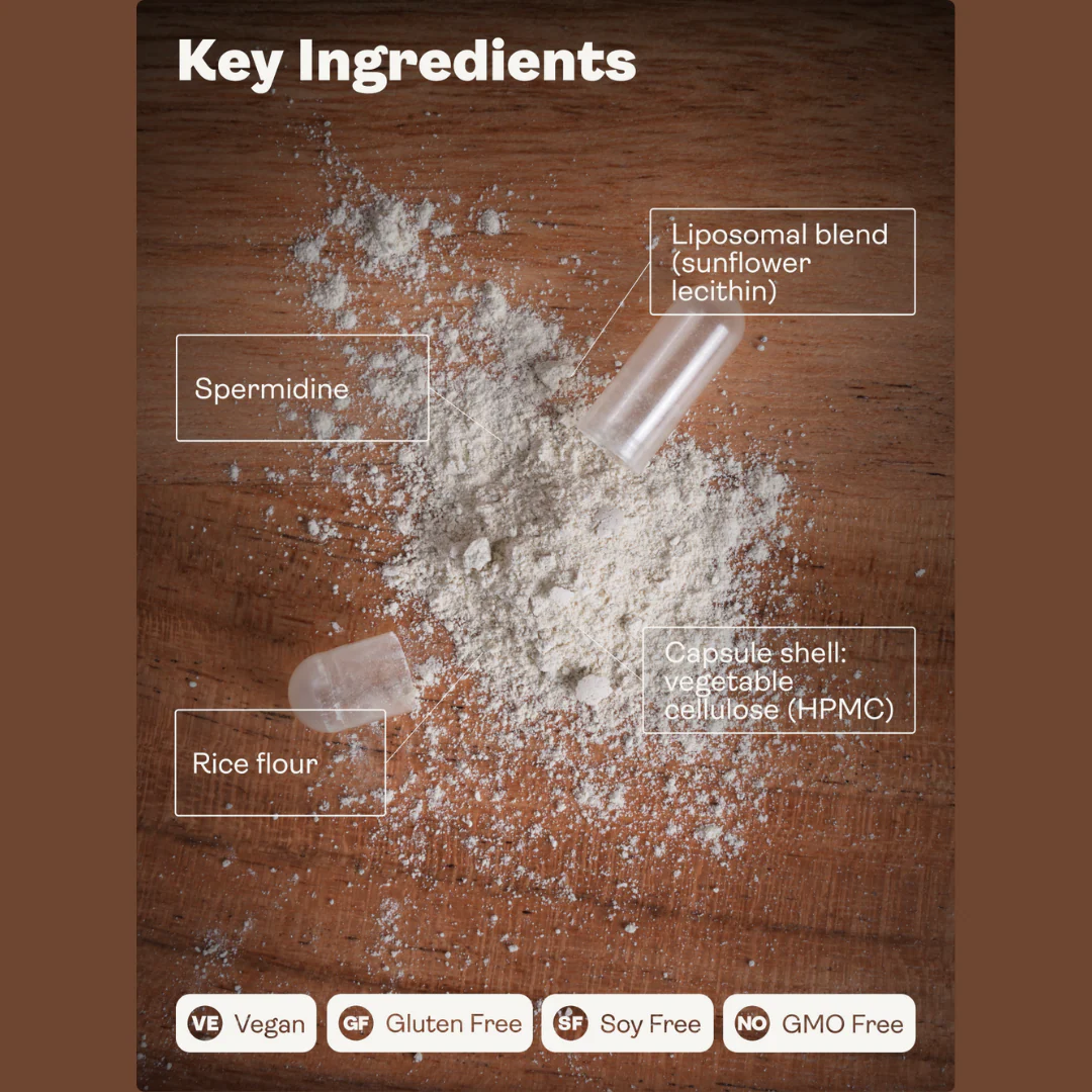 Liposomal Spermidine 5.49mg - Image 3
